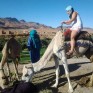 Marrakech dunes d’Erg Chebbi 5 jours